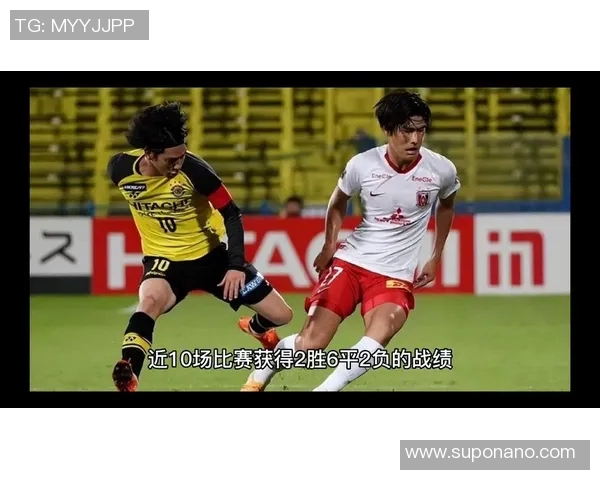 京都不死鸟与水戸蜀葵的巅峰对决谁将书写新的传奇篇章