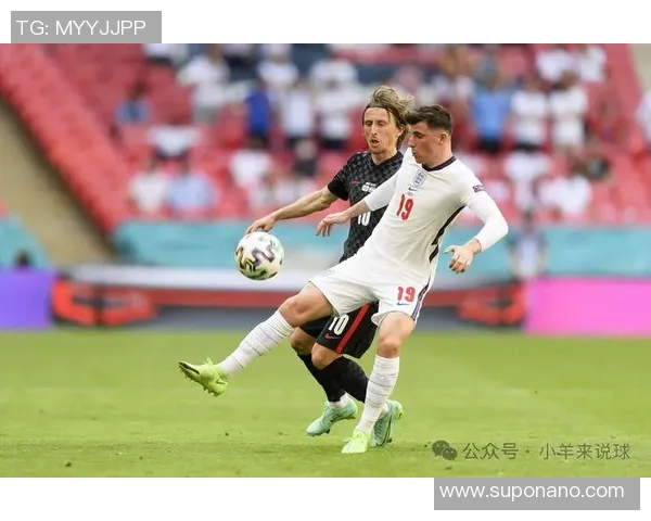 丹麦足球队近期战绩分析与未来比赛展望